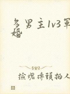 多男主1v3军婚