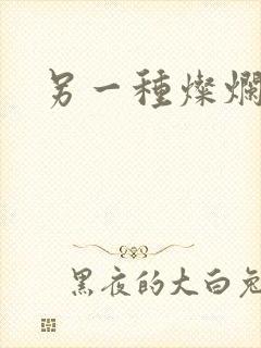 另一种灿烂生活