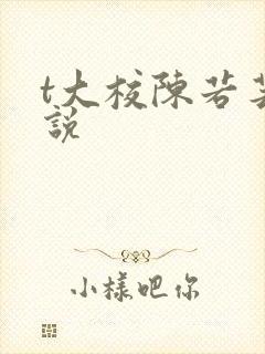 t大校陈若芸小说