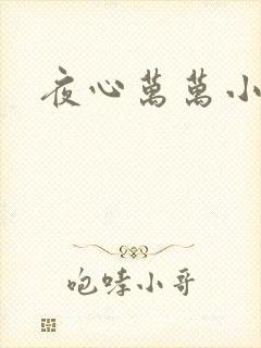 夜心万万小说