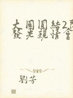 大团圆结2闪闪发光亲情会