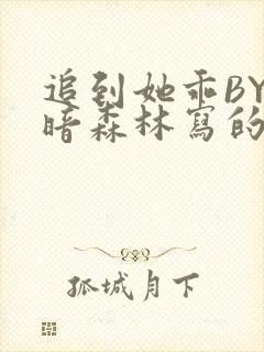 追到她乖BY黑暗森林写的小说