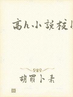高h小说校园