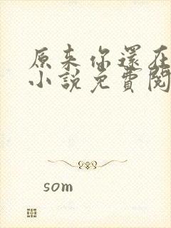 原来你还在这里小说免费阅读