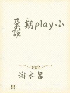 孕期play小说