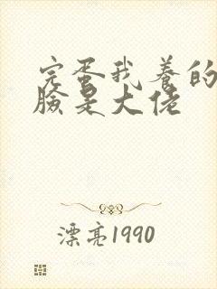 完蛋我养的小白脸是大佬