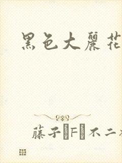 黑色大丽花图片