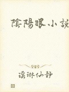 阴阳眼小说