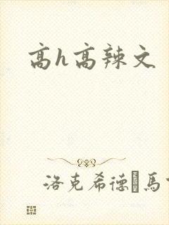 高h高辣文