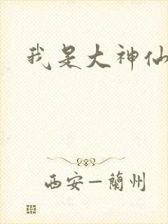 我是大神仙小说