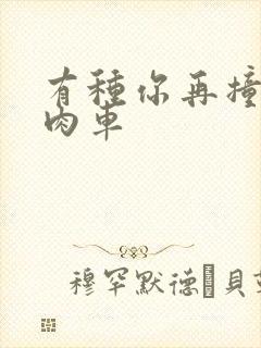 有种你再撞一下肉车