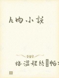 h肉小说