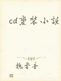 cd变装小说