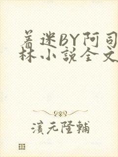 着迷BY阿司匹林小说全文免费阅读