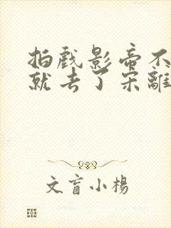 拍戏影帝不小心就去了宋离