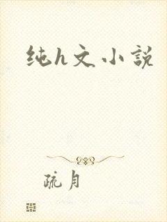 纯h文小说