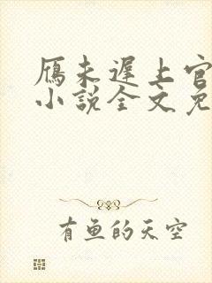 雁未迟上官穿越小说全文免费阅读