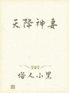 天降神妻