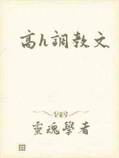高h调教文