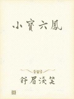 小宝六凤