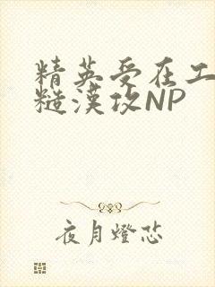 精英受在工地被糙汉攻NP
