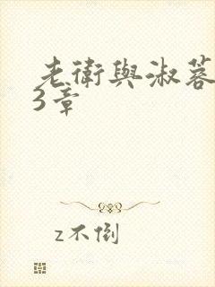 老卫与淑蓉第13章