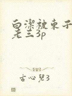 白洁被东子老二老三3p