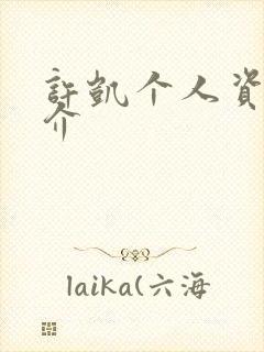 许凯个人资料简介