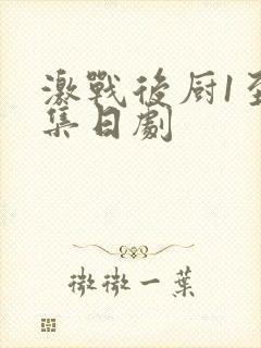 激战后厨1至5集日剧