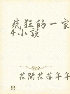 疯狂的一家ps4小说