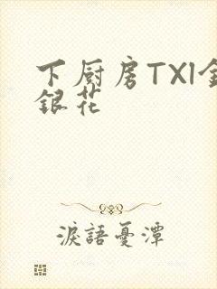 下厨房TXl金银花