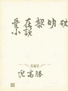 爱在黎明破晓前小说