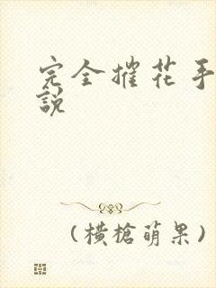 完全摧花手册小说