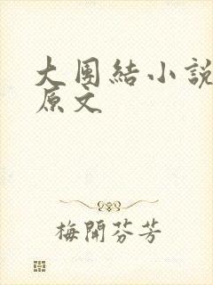 大团结小说阅读原文