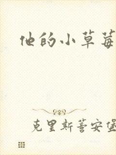 他的小草莓