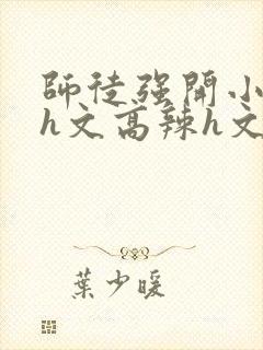 师徒强开小嫩苞h文高辣h文