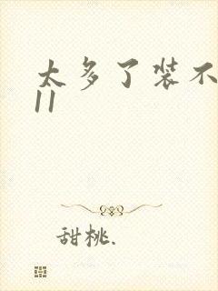 太多了装不下H11