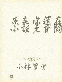 原来你还在这里小说免费阅读