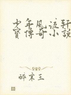 少年风流轩辕大宝传奇小说