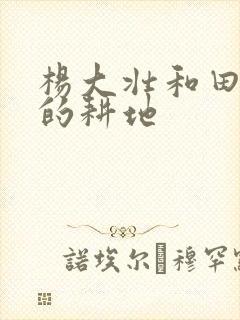 杨大壮和田桂花的耕地