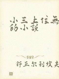 小三上位无三观的小说