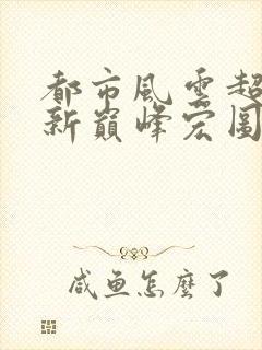 都市风云超前更新巅峰宏图