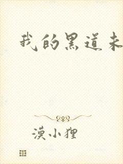 我的黑道未婚夫