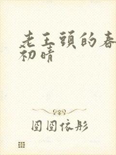 老王头的春天林初晴