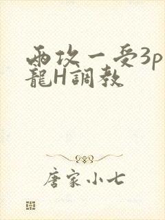 两攻一受3p双龙H调教