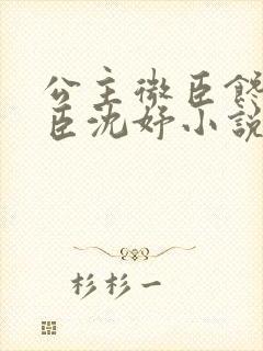 公主微臣馋了微臣沈妤小说