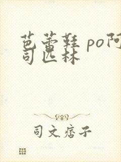 芭蕾鞋 po阿司匹林