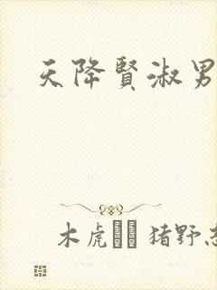 天降贤淑男小说