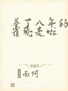 养了八年的金丝雀飞走啦