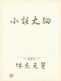 小说大胸